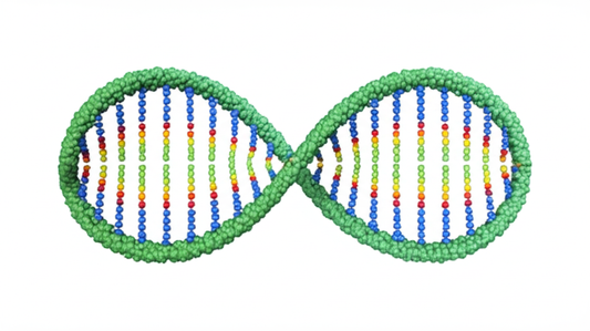 OC-K Microbe Nutrient