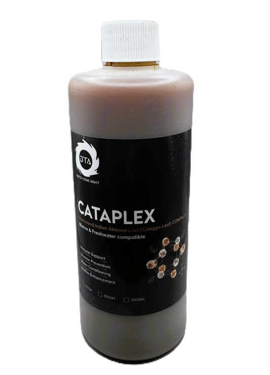 CATAPLEX - Indian Almond Leaf extract