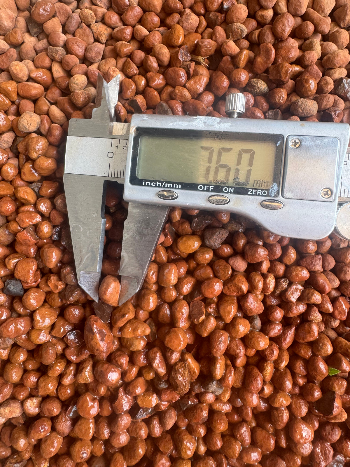 LTX-OH Pisolitic Iron Laterite Substrate | Biotech Aquatica