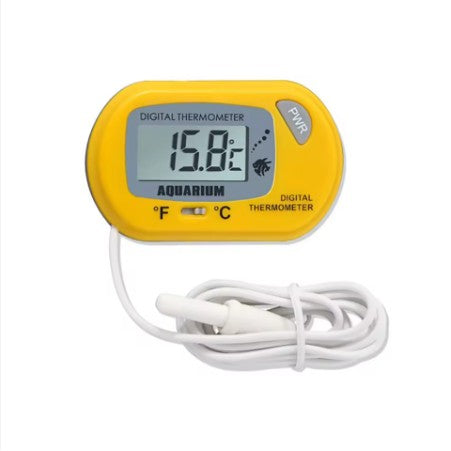 Mini Digital Thermometer