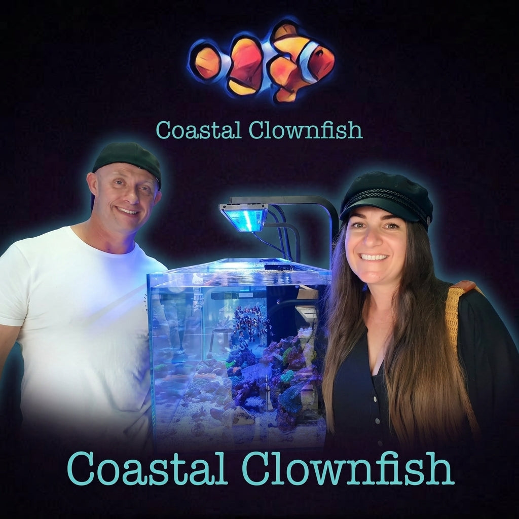 Industry Titan Spotlight: Video Interview with Matt and Jade from Coastal Clownfish - Basic Hygiene