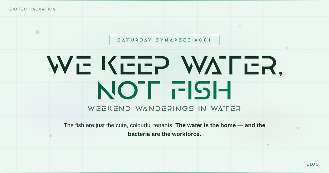SATURDAY SYNAPSES - Weekend Wanderings in Water