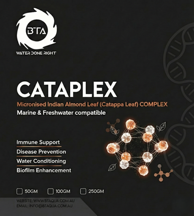 Cataplex - Concentrated Indian Almond Leaf Extract