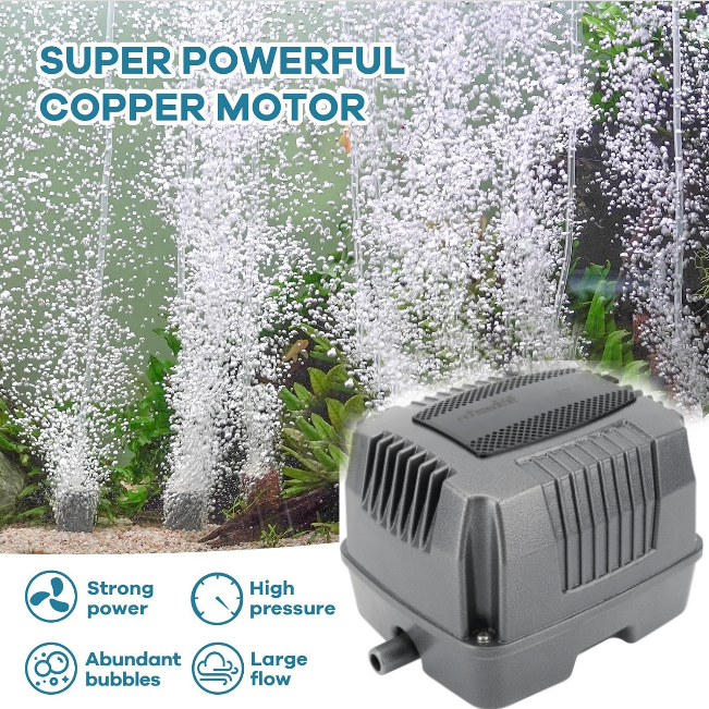 Rissee Electromagnetic LAP Air pumps