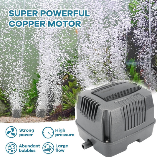 Rissee Electromagnetic LAP Air pumps