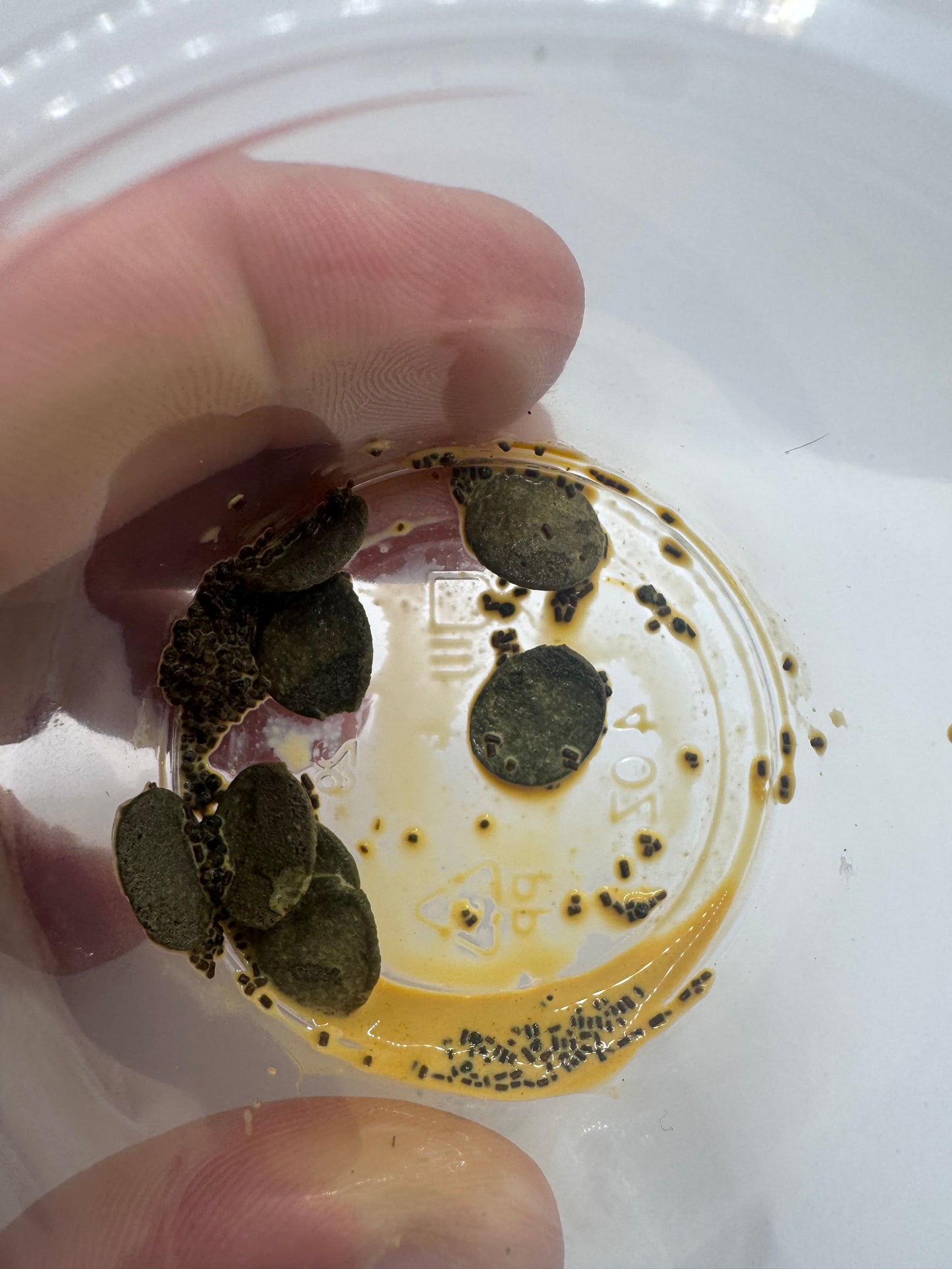 EnrichµM-D : 5:1 Diluted Food Enrichment