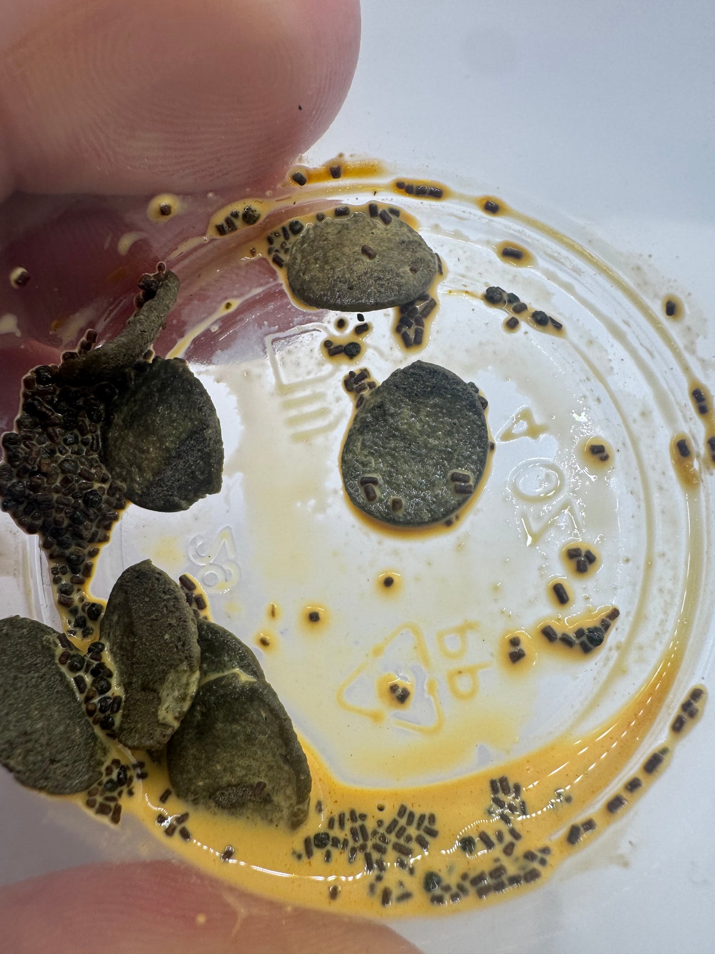 EnrichµM - Food Enrichment