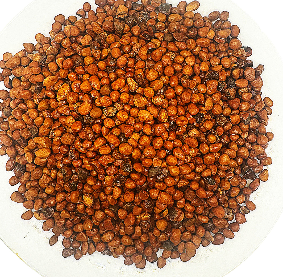 LTX-OH Pisolitic Iron Laterite Substrate | Biotech Aquatica