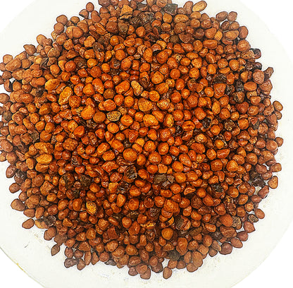 LTX-OH Pisolitic Iron Laterite Substrate | Biotech Aquatica