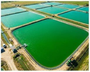 SUB-6: Substrate and Plankton Support